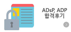 ADSP�հ��ı�